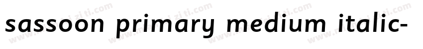 sassoon primary medium italic字体转换